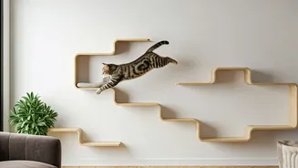 Construct Creative Multi Level Wall Paths Entertain Indoor Felines