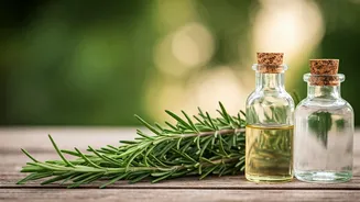 Rosemary Water and Oil Benefits Skin and Hair