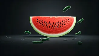 Watermelon Myths Debunked: Doctors Clarify Causes of Fatal Illness After Fruit Consumption