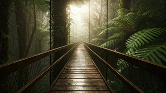 Tree-Top Walks Offer India's Coolest Rainy Escape