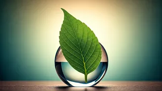 Prioritize Your Mind: Why Regular Mental Health Screenings Are Non-Negotiable