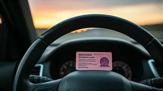 BTS OT7 Livestream: Year-End Plans and Driver's Licenses