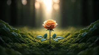 Taurus Horoscope Tomorrow: Embrace Inner Shifts & Honor Yourself!