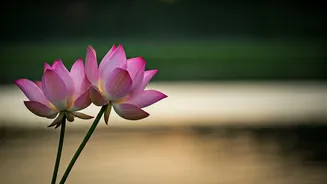 Is Your Relationship Drifting Apart?