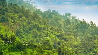 How To Organise A Budget Friendly Nature Break Near Tier 2 Cities This Long Weekend