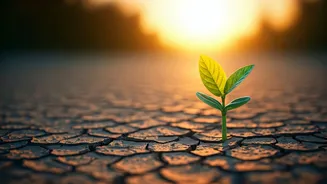 Bhagavad Gita's Wisdom: Embracing Imperfect Progress Without Fear