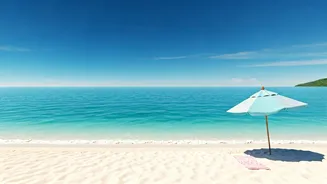 Vietnam Beaches See Record High Last-Minute Spontaneous Flight Searches Tonight