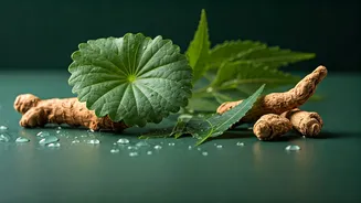 Why Plant-Based K-Beauty Inversions Rule The Indian Skincare Market