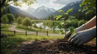 Why Harela's Sapling Drive matters for urban and rural greening, biodiversity and water security