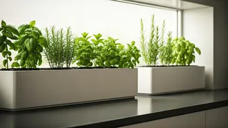 Kitchen Greenery Is Getting Cute And Practical