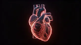 Heart Health & Exercise: A Guide to Wellbeing