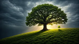 Related Stories banner