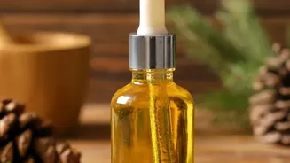 Hair Oil Advice Should Separate Breakage From Hair-Follicle Loss