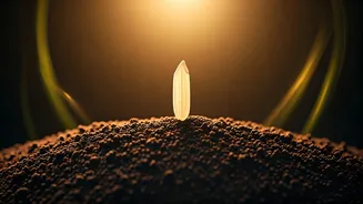 From Ancient China to Global Staple: The Incredible Journey of Rice