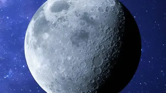 Shaded Craters Near the Moon's South Pole May Shelter Some Earth Microbes