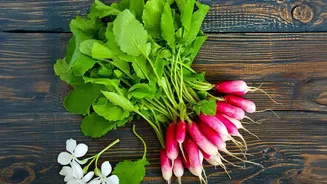 Clear Plans For Delicate Vegetables Help Organise A Use-First Produce Box
