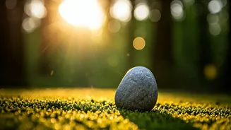 Forgiveness: The Key to Inner Peace and a Happier Life