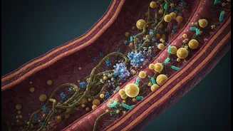 Different Ingredients May Reach Microbes in Different Ways