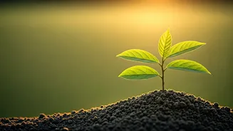 Nurturing Unstoppable Confidence in Children: A Parent's Guide to Stress-Free Growth