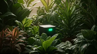 5 AI Marvels Revolutionizing Plant Care for Greener Thumbs