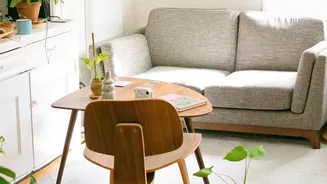 Renting Or Buying Furniture: Cost Breakdown For Young Professionals Relocating To Metros