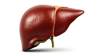 Protect Your Liver: A Guide to Liver Health
