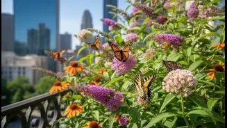 Create A Mini Butterfly Haven Without A Big Garden