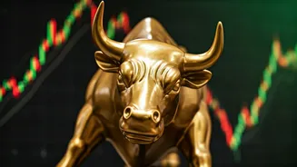 Unveiling Bull Market Investments for Savvy Investors