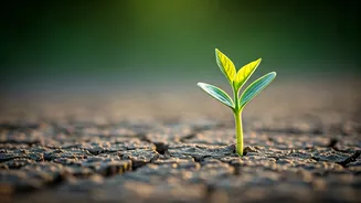 Unlocking Sustainable Weight Loss: A Personal Triumph Over Persistent Plateaus