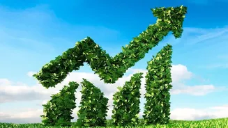 Increasing Mutual Fund SIPs By Five Percent Every Year Builds Massive Long Term Wealth