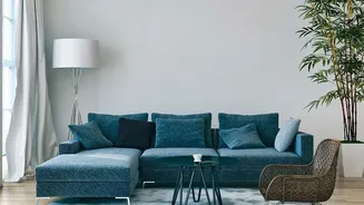How Urban House Owners Reduce Room Heat Up To Five Degrees Effortlessly