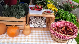 5 Foods to Boost Health Before Winter in India