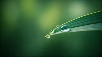 Samantha Ruth Prabhu's 'Less Is More' Skincare: Age-Defying Wisdom for Radiant Skin