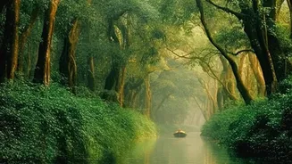 August Monsoon Guide: Places To Visit If You Want Nature Instead Of Crowds