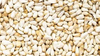 Why you should add safflower seeds to your diet