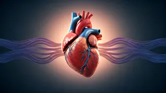 Obstructive Sleep Apnea: A 71% Higher Risk of Heart Trouble and Early Death, Especially with Obesity