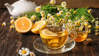 Why Traditional Herbal Infusions Sourced From South India Provide Soothing Refreshment For Mindful Modern Drinkers