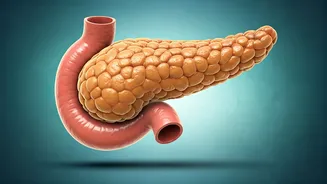 Type 2 Diabetes: Why Some Thrive on Diet & Exercise, Others Need Insulin