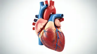 Blood Sugar's Cholesterol Connection: A Guide