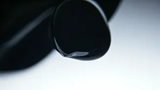 Rabbit or Duck? Uncover Your Hidden Personality Traits with This Illusion Test!