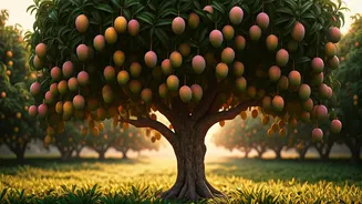 India's 'Mango Man': Cultivating 348+ Varieties on a Single 125-Year-Old Tree