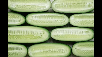 Best Foods to Beat the Indian Summer Heat