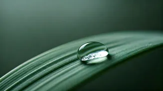Your Oily Skin Still Needs Moisturiser This Monsoon