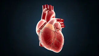 Unveiling Heart Attack Signals: Insights from an AIIMS Neurologist