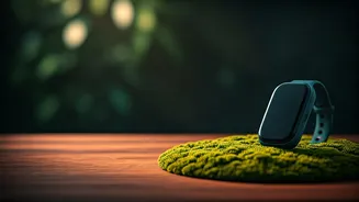 Calm Habits Are Beating Hyper-Tracked Health Routines