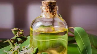 Eucalyptus Oil Can Cause Contact Reactions In Some Users