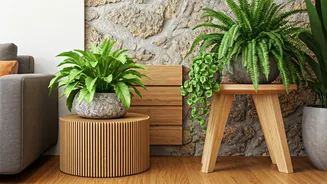 Wood, Stone, Greenery: India’s New Interior Formula