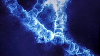 Larger Dogs Show Faster Changes In DNA Methylation: DNA Study On Why Large Dogs Age Faster In Focus