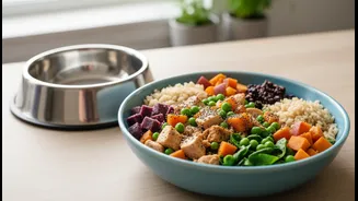 Why customized vet-approved fresh dog food is modern answer to basic kibble