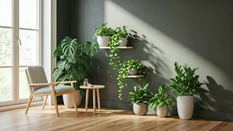 Indoor Plant Corners Make Decor Feel Soft